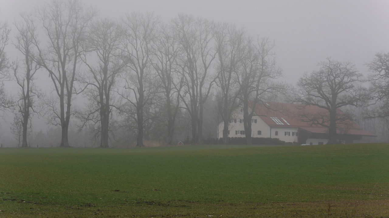 fog landscape nature free photo