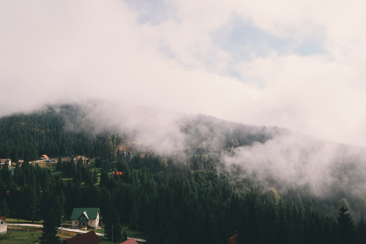 fog aerial view clouds free photo