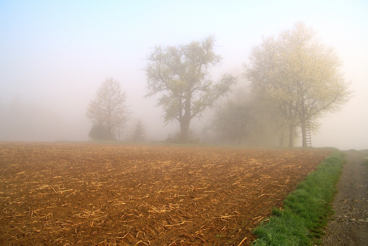 fog landscape mood free photo