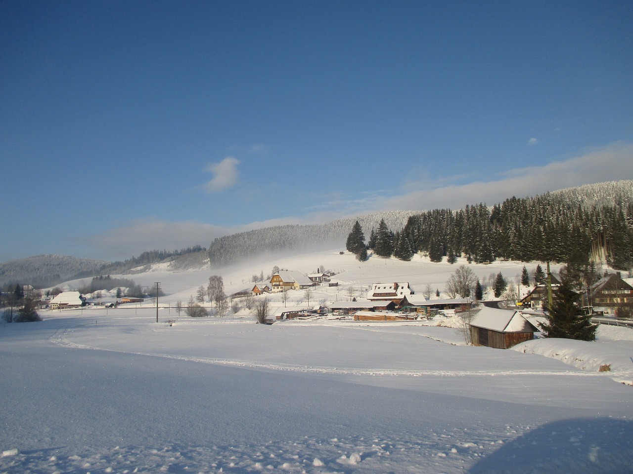 fog winter snowy free photo