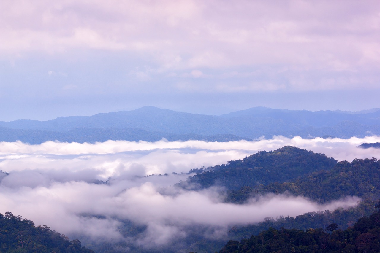 fog mountains sea fog free photo