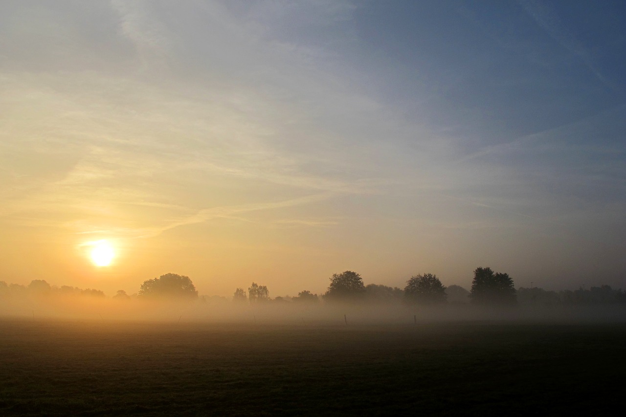 fog veil mystical free photo