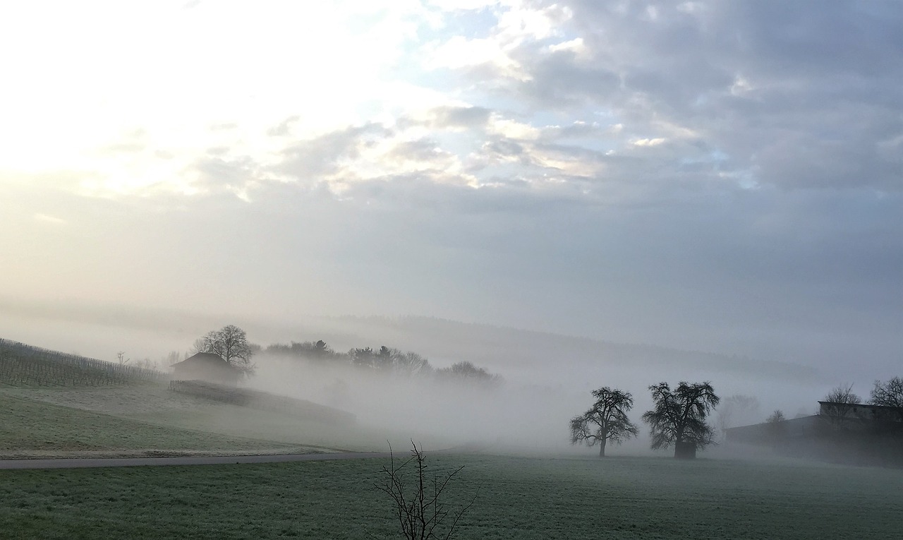 fog landscape mood free photo