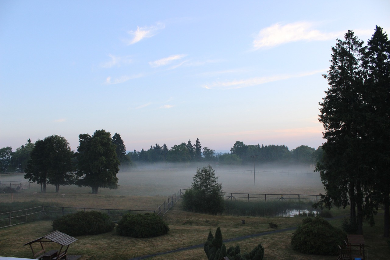 fog morning sky free photo