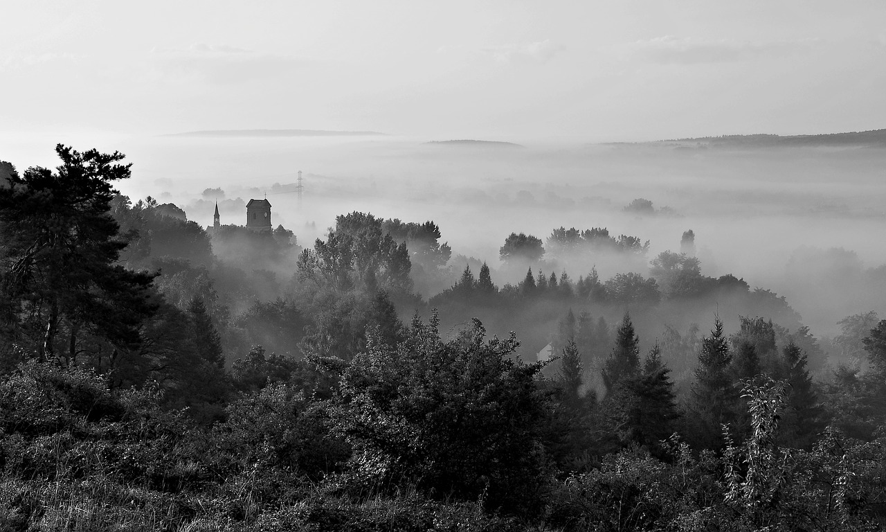 fog morning view free photo