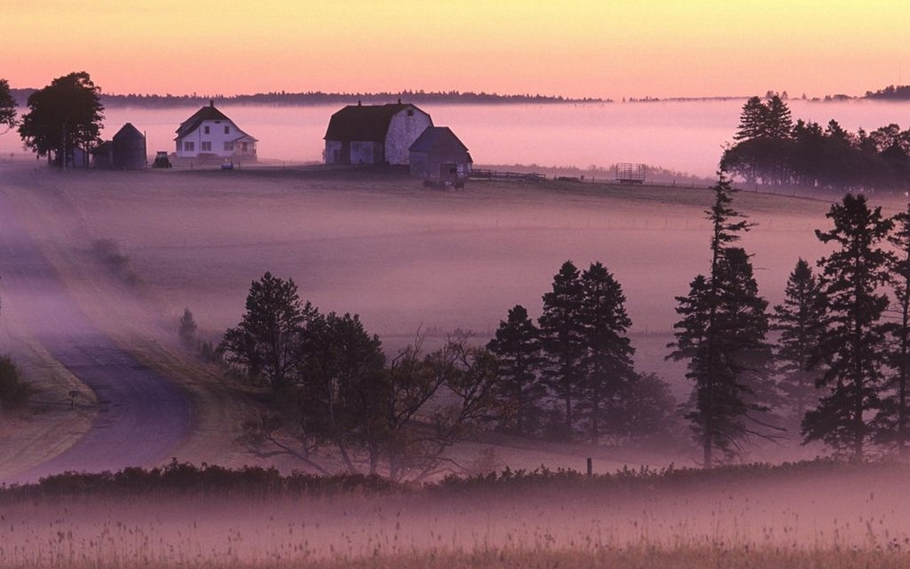 fog landscape foggy free photo