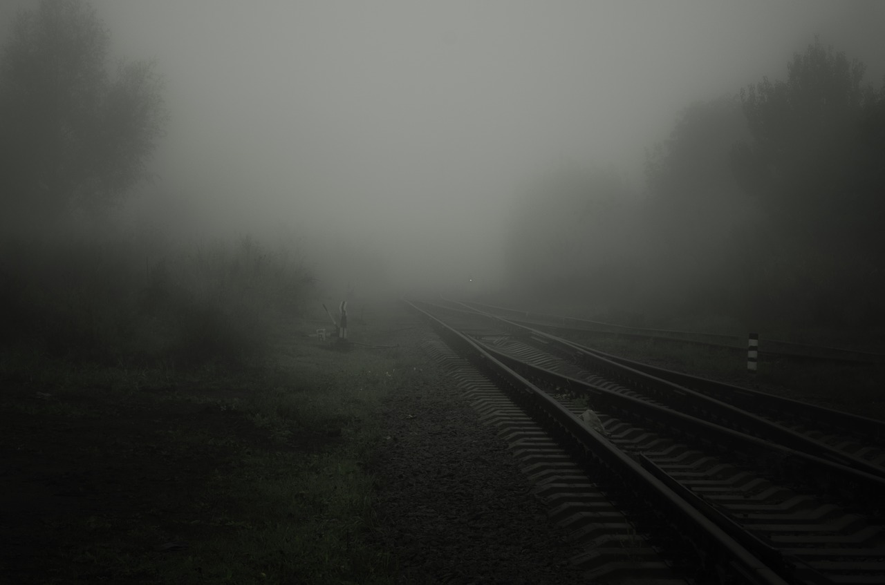 fog road rails free photo
