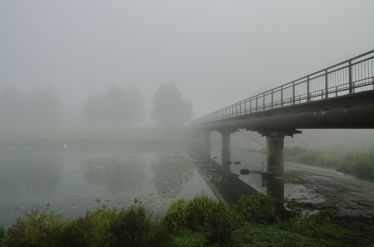 fog bridge autumn free photo