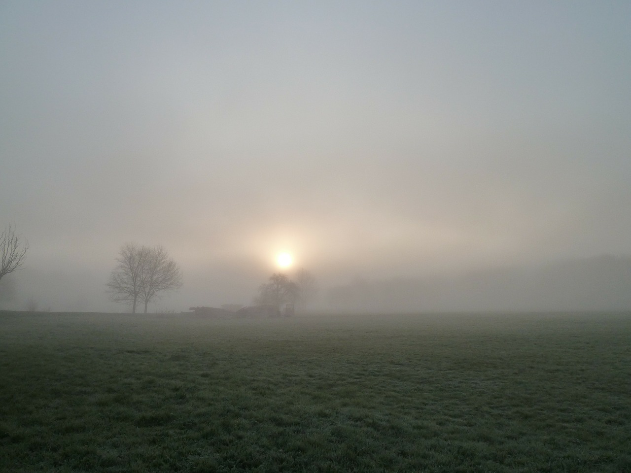 fog autumn nature free photo