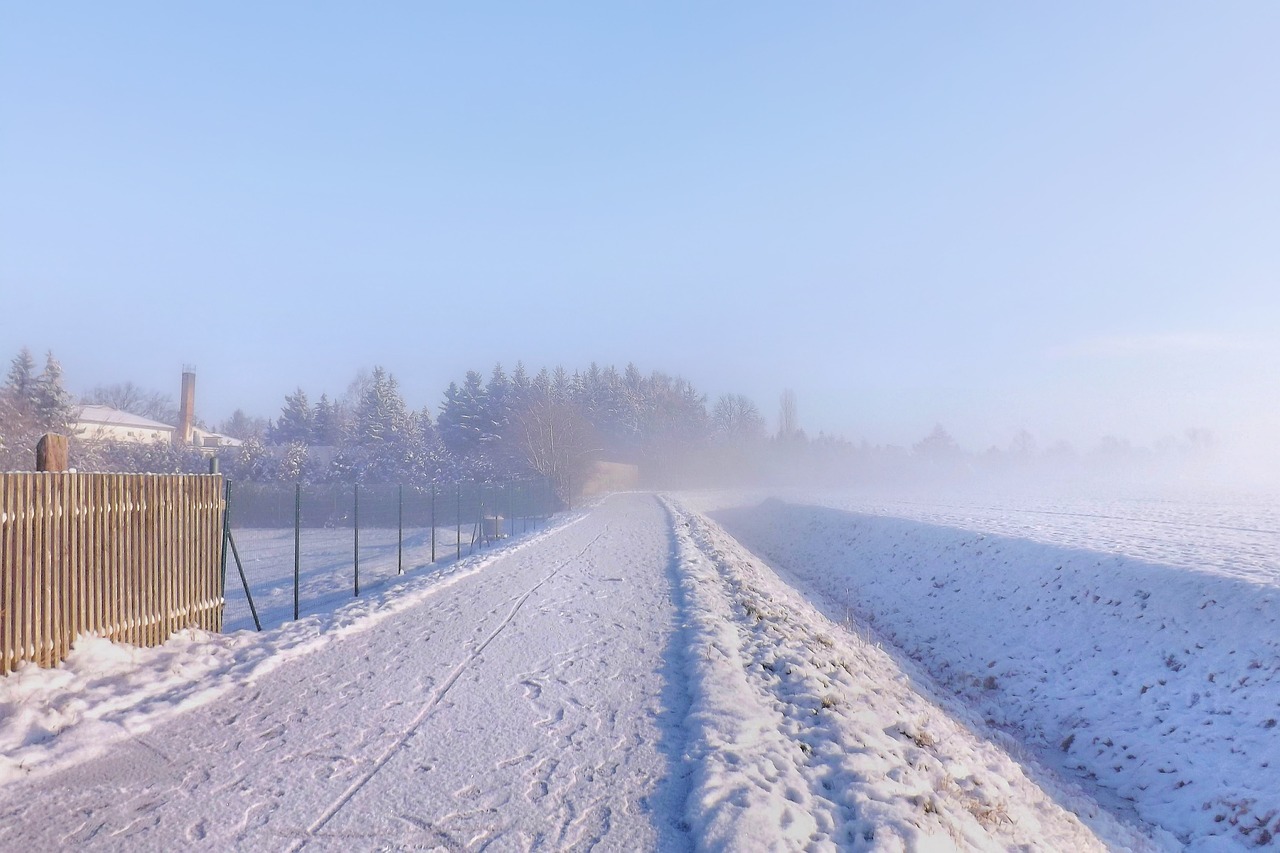 fog winter impressions wintry free photo