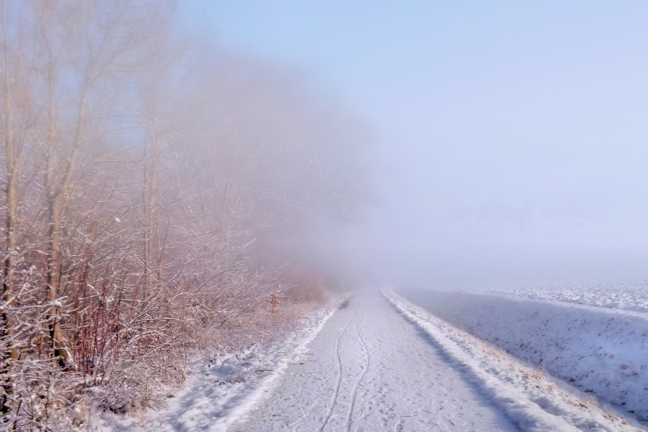 fog winter impressions wintry free photo