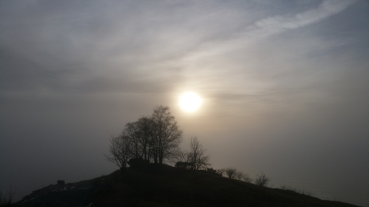 fog sun nature photography free photo