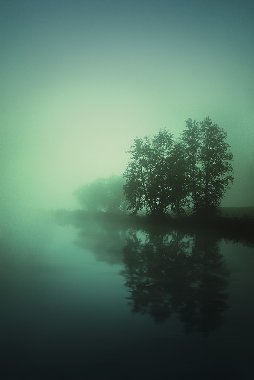 fog lake water free photo