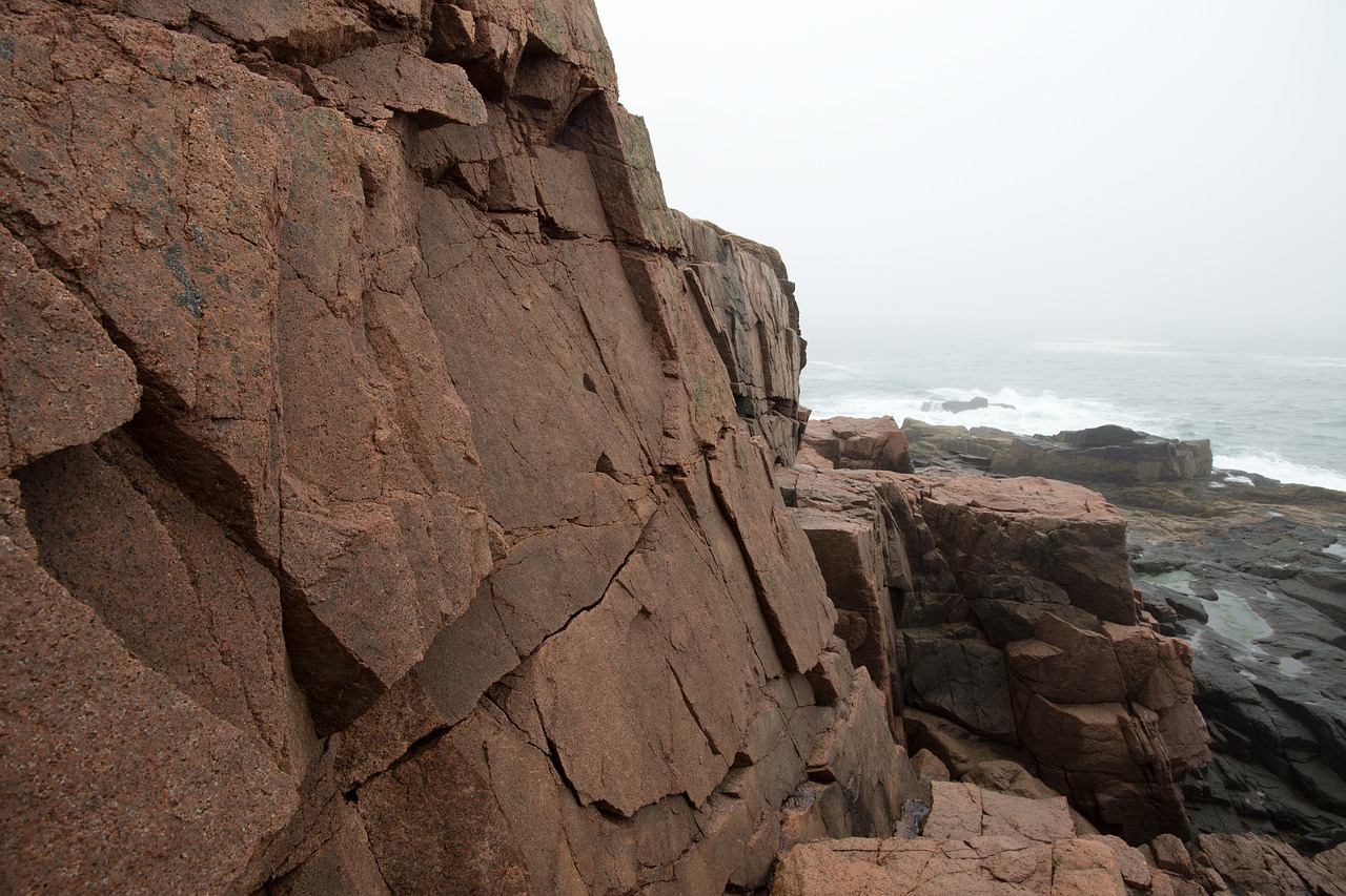 fog nature ocean free photo