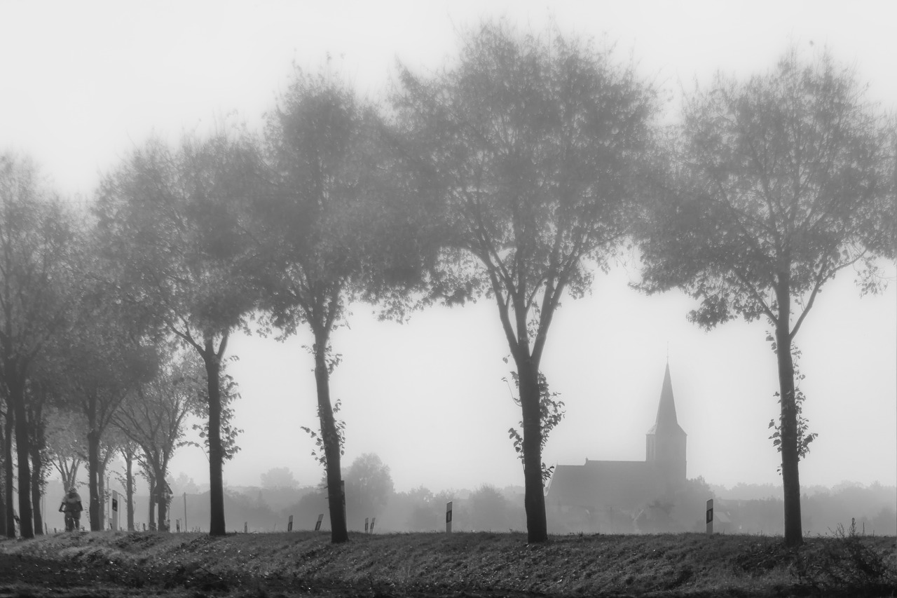 fog niederrhein kath free photo