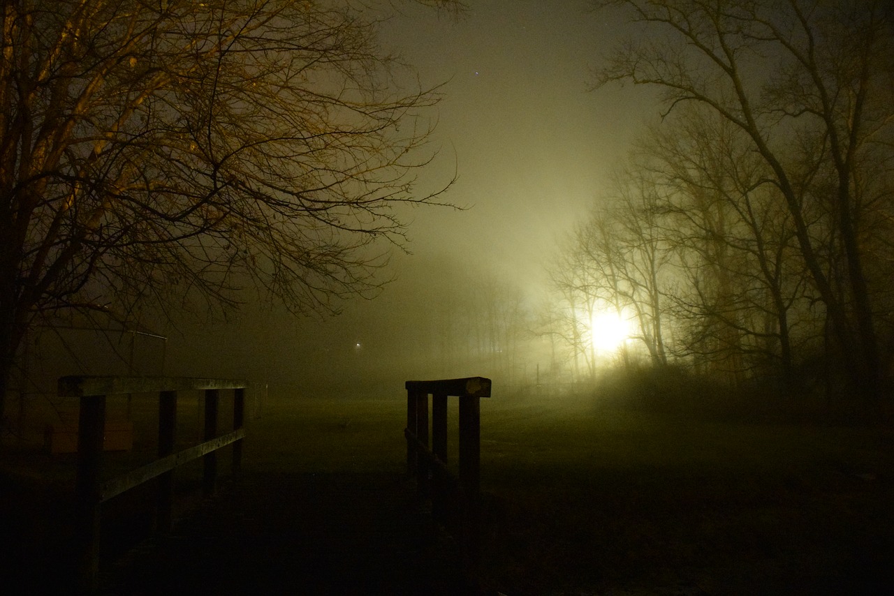 fog night shadows free photo