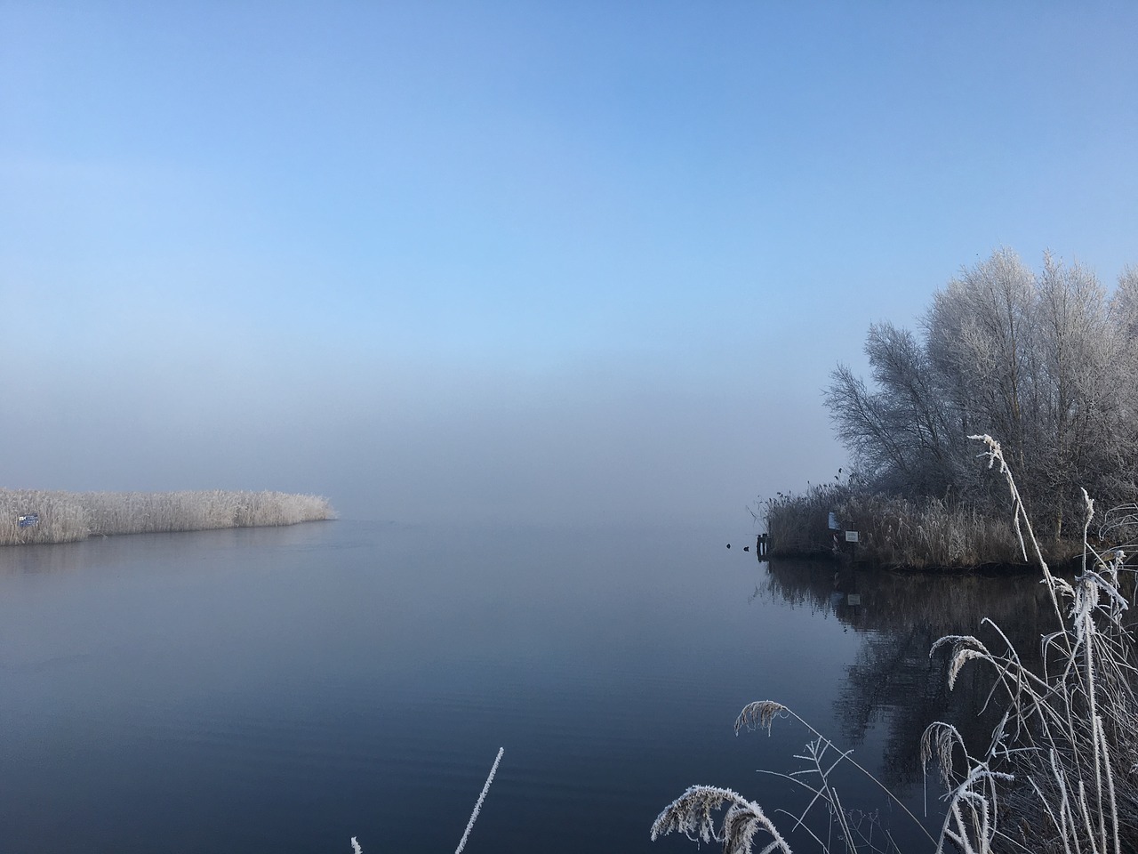 fog frost lake free photo