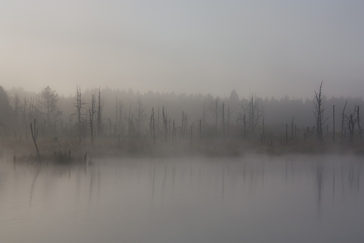 fog moor autumn free photo