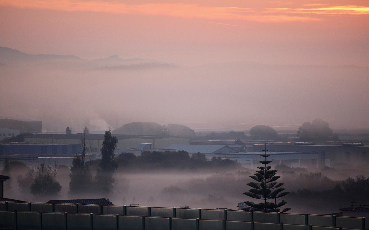 fog dawn city free photo