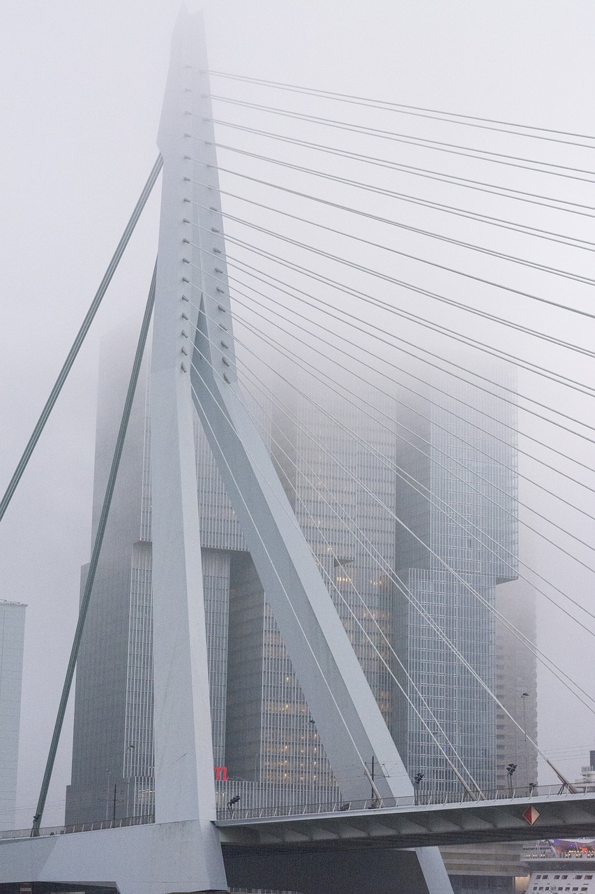 fog bridge rotterdam free photo