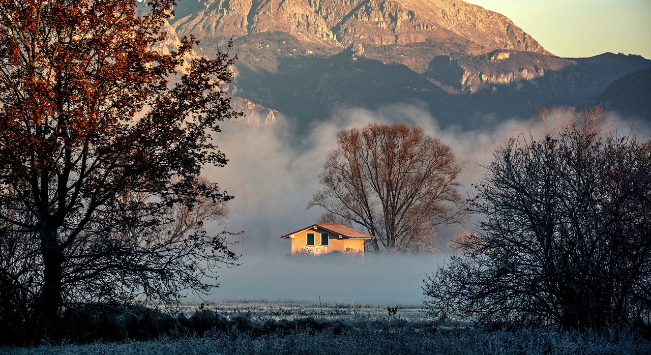 fog house forest free photo