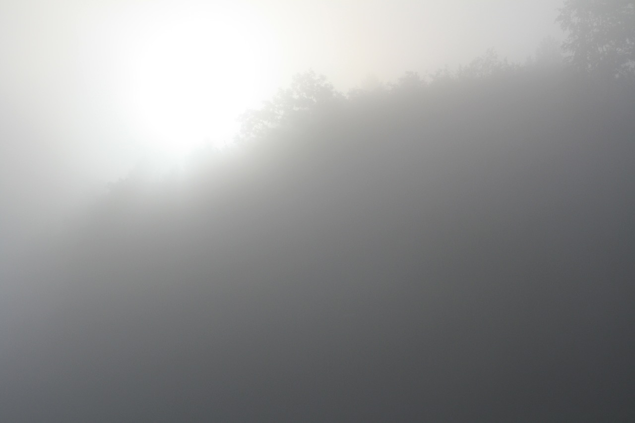 fog morning sun veil free photo