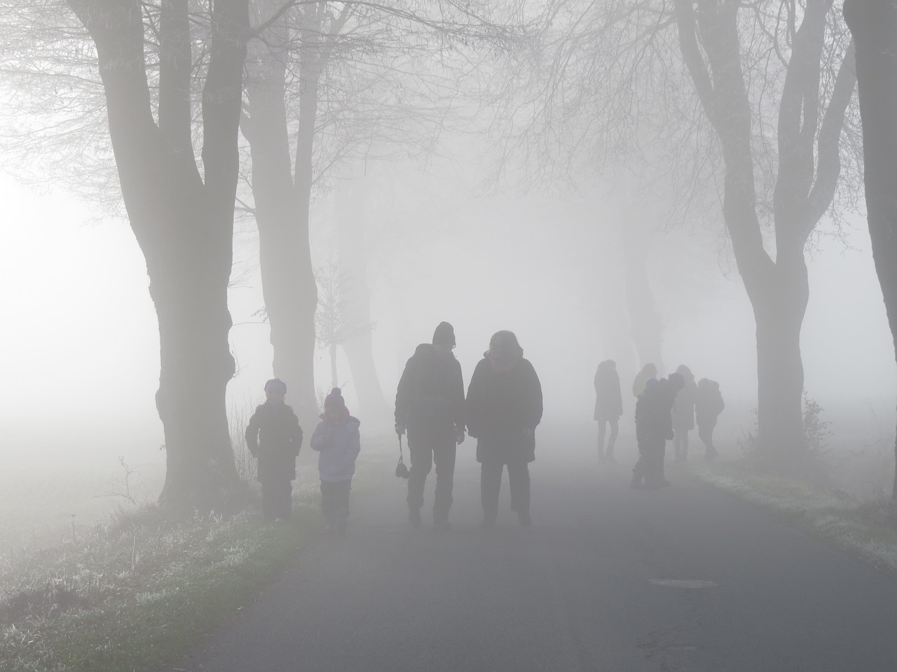 fog human avenue free photo