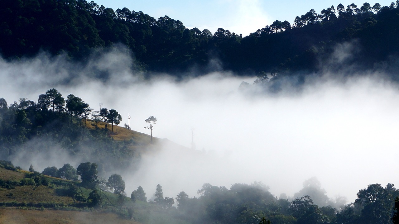 fog landscape mist free photo