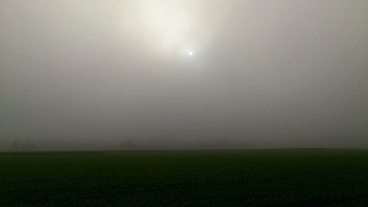 fog field sun free photo