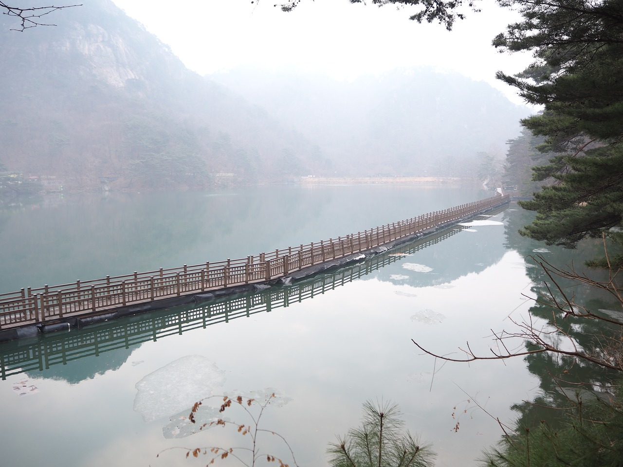 fog bridge the river free photo