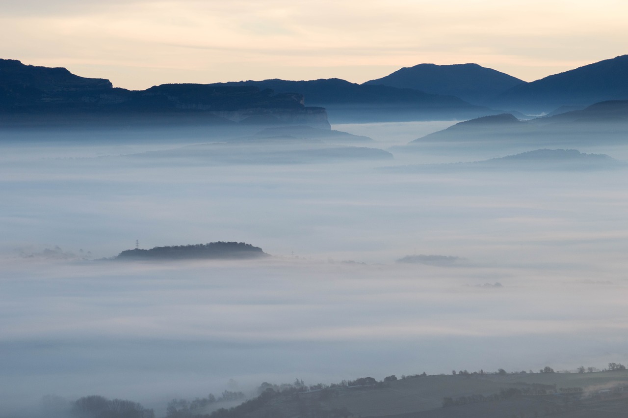 fog dawn landscape free photo