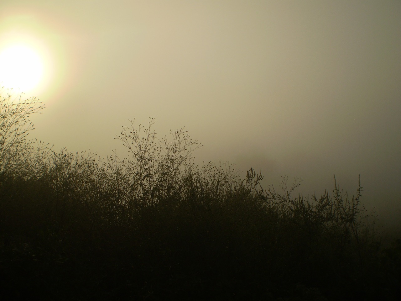 fog silhouette mount free photo