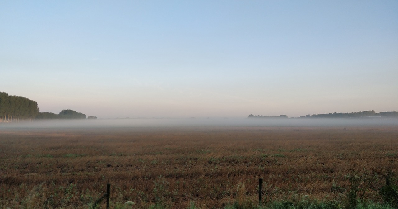 fog pasture morning free photo