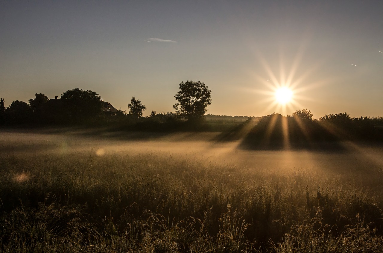 fog sunrise sun free photo