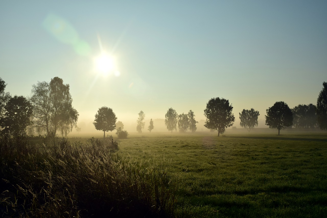 fog landscape nature free photo