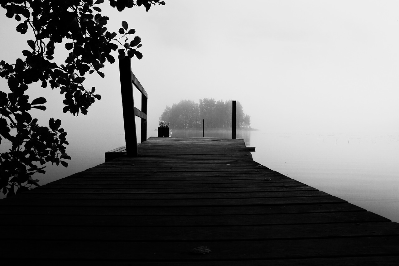 fog black and white summer free photo