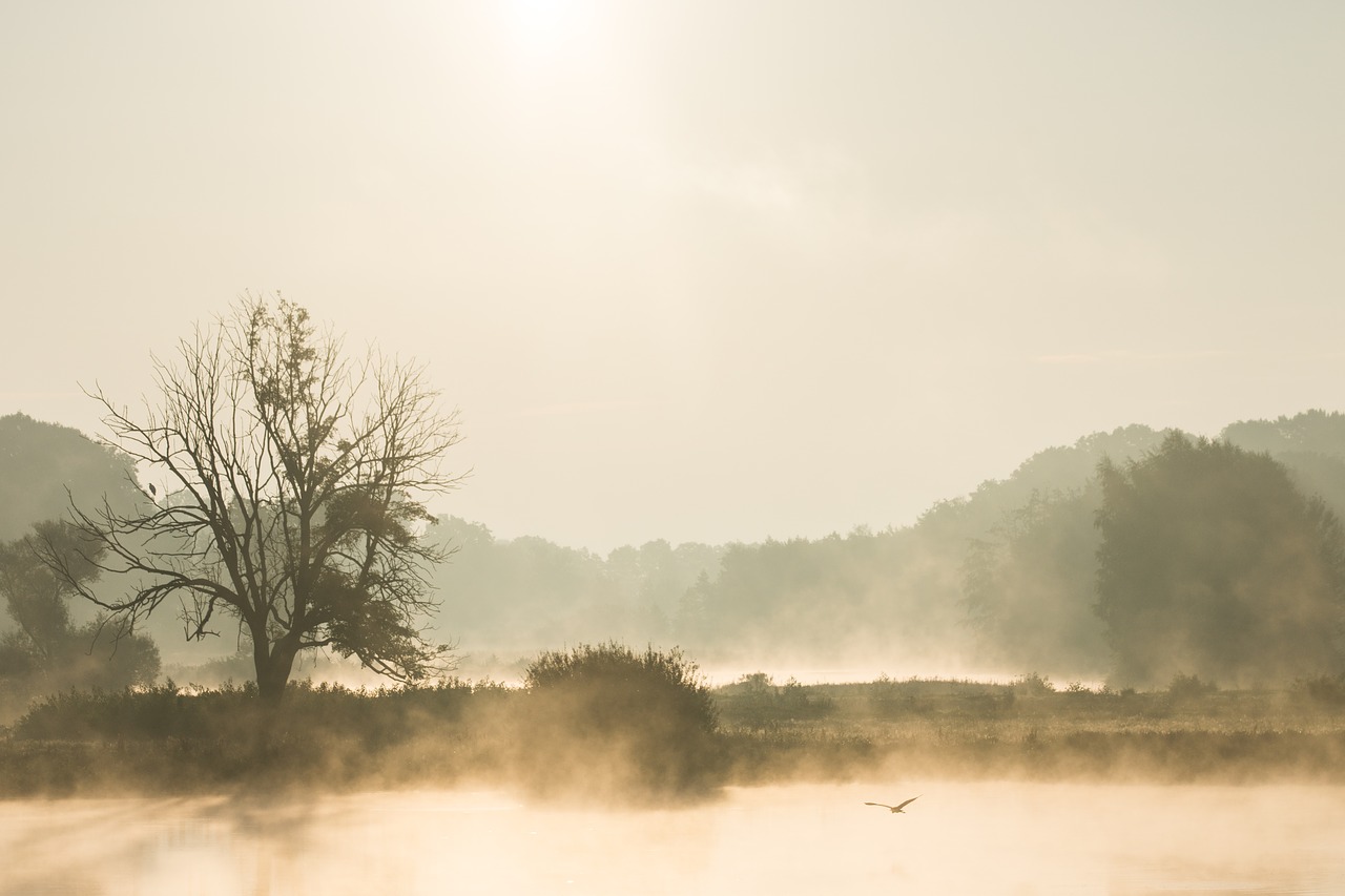 fog water lake free photo