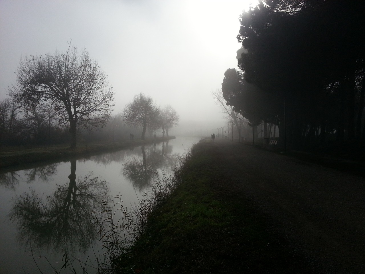 fog landscape winter free photo