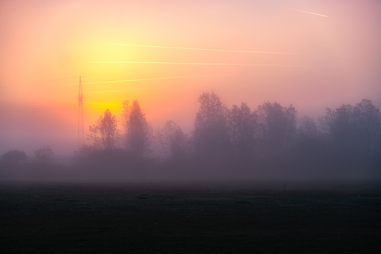 fog sun sunrise free photo