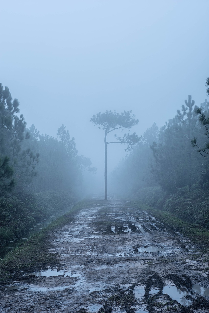 fog nature waterfall free photo