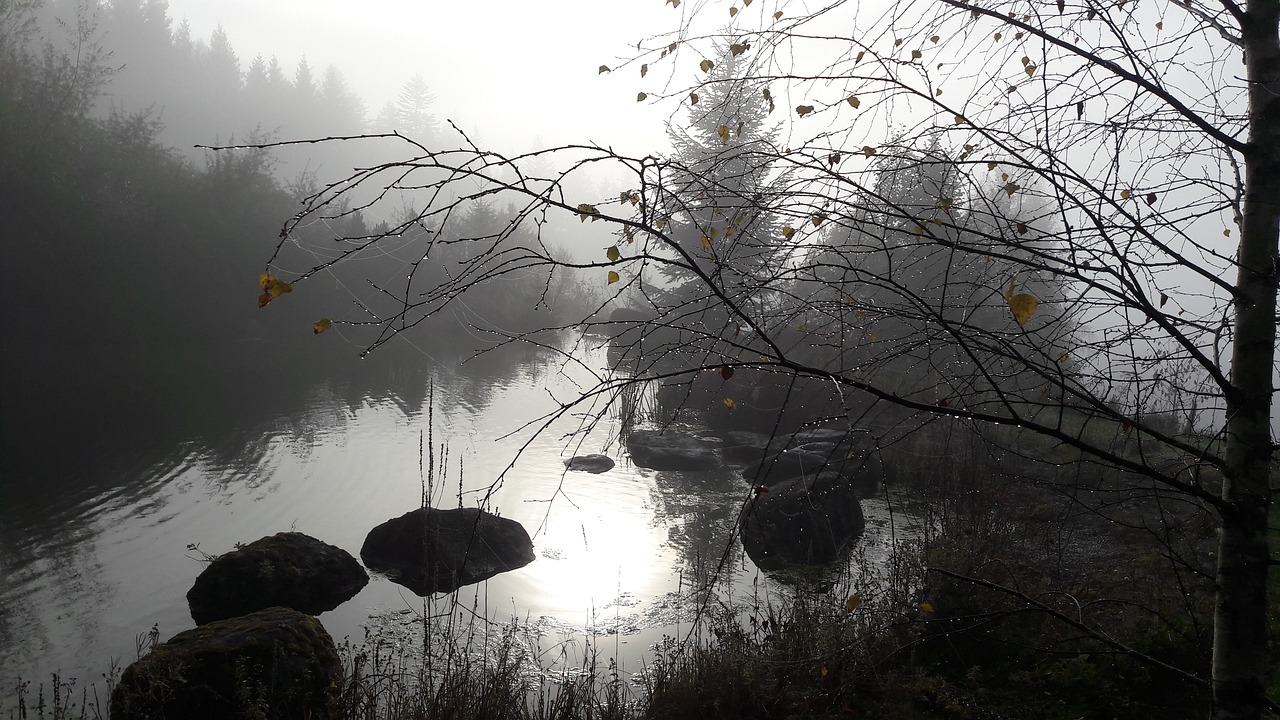 fog autumn landscape free photo