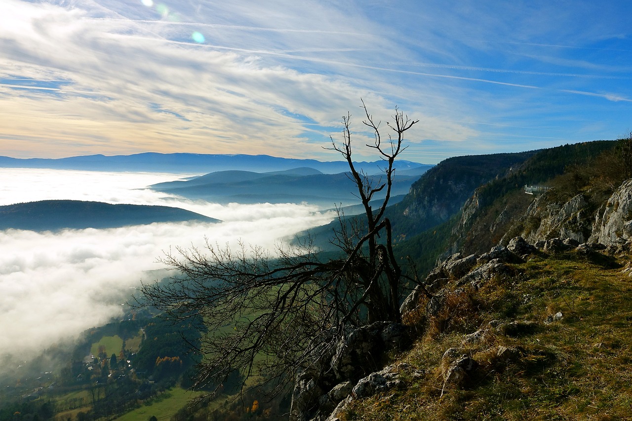 fog autumn landscape free photo