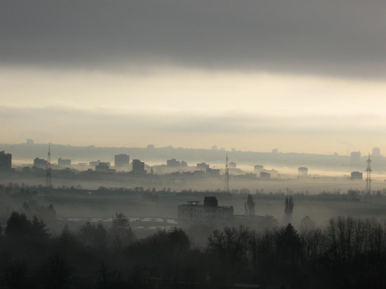 fog frankfurt nature free photo