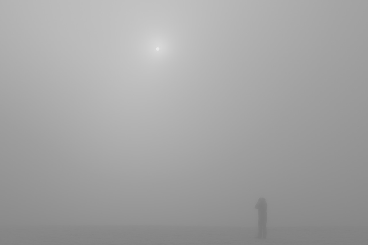 fog foggy sun free photo