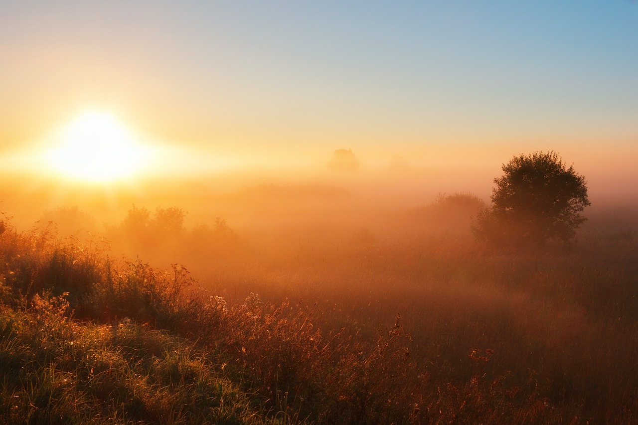 fog dawn sunset free photo