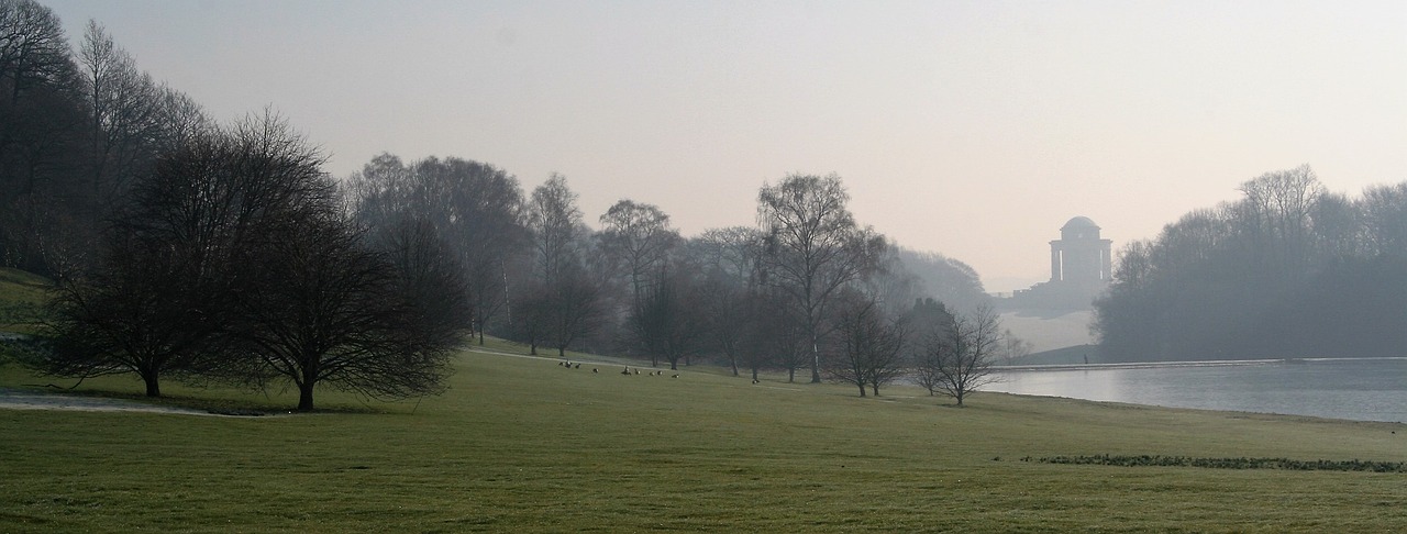 fog nature panoramic free photo