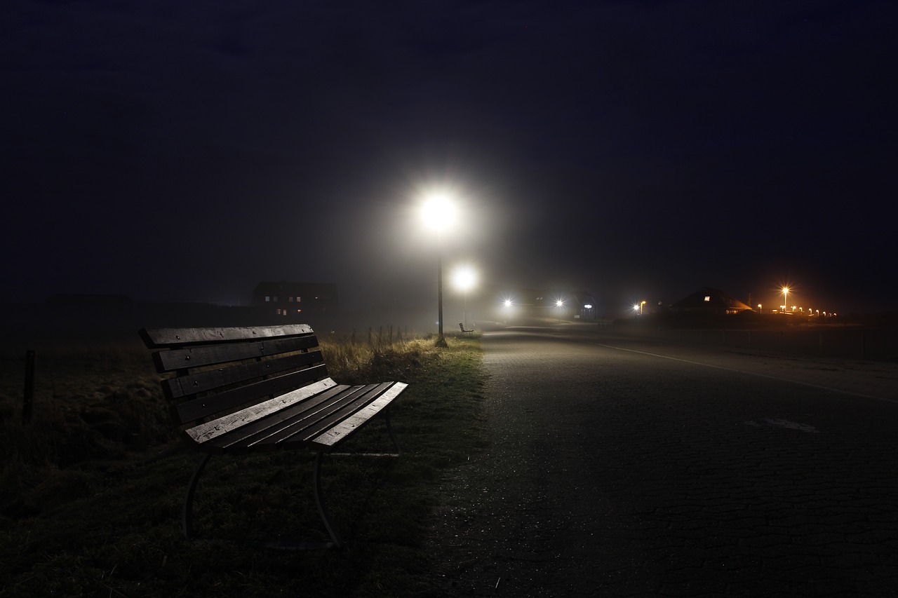 fog  dusk  lantern free photo