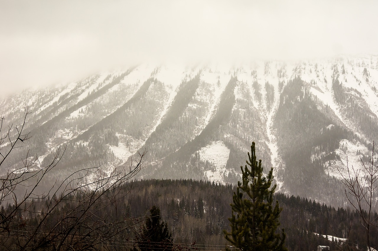 fog  nature  panoramic free photo