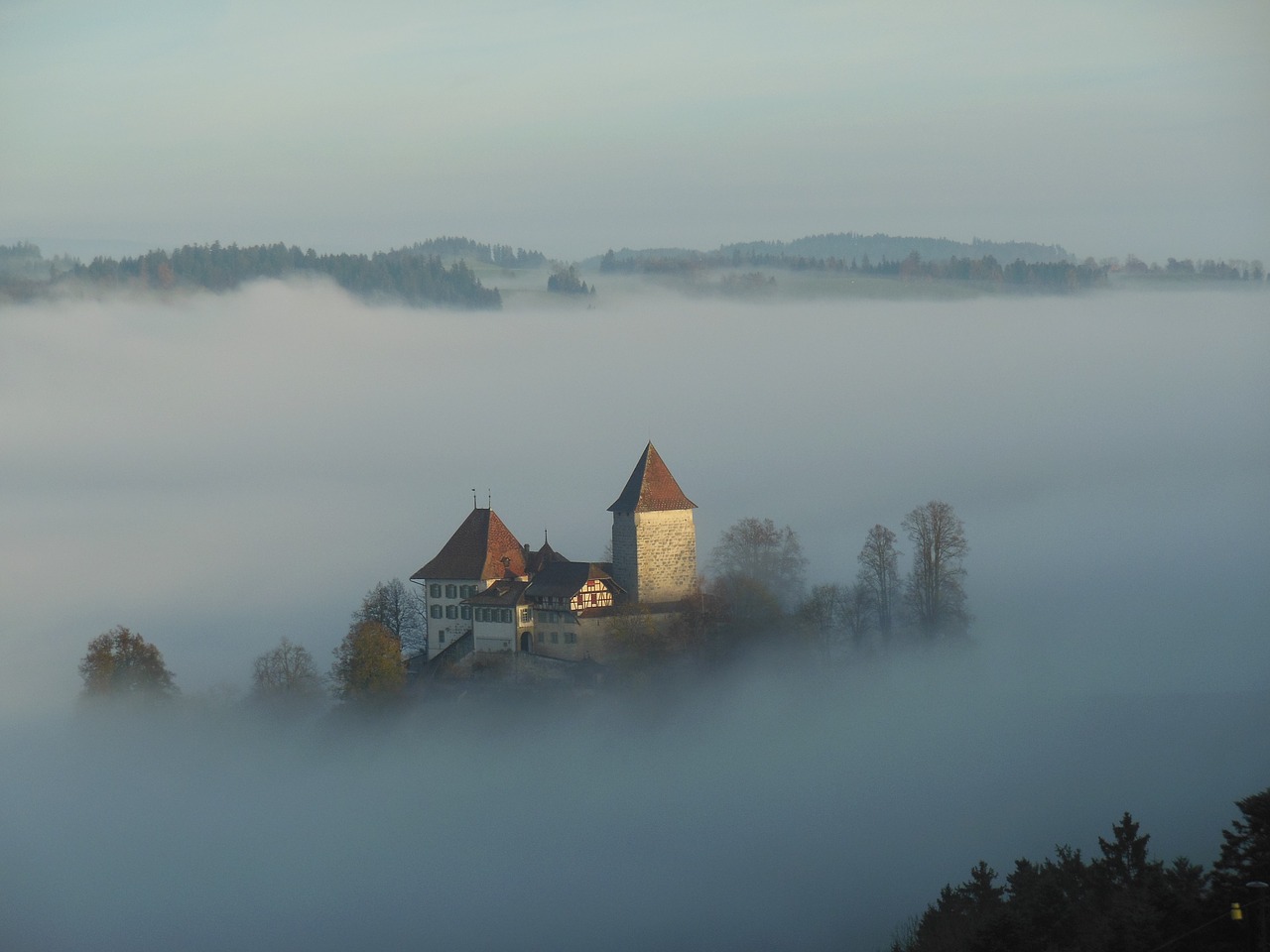 fog  dawn  landscape free photo