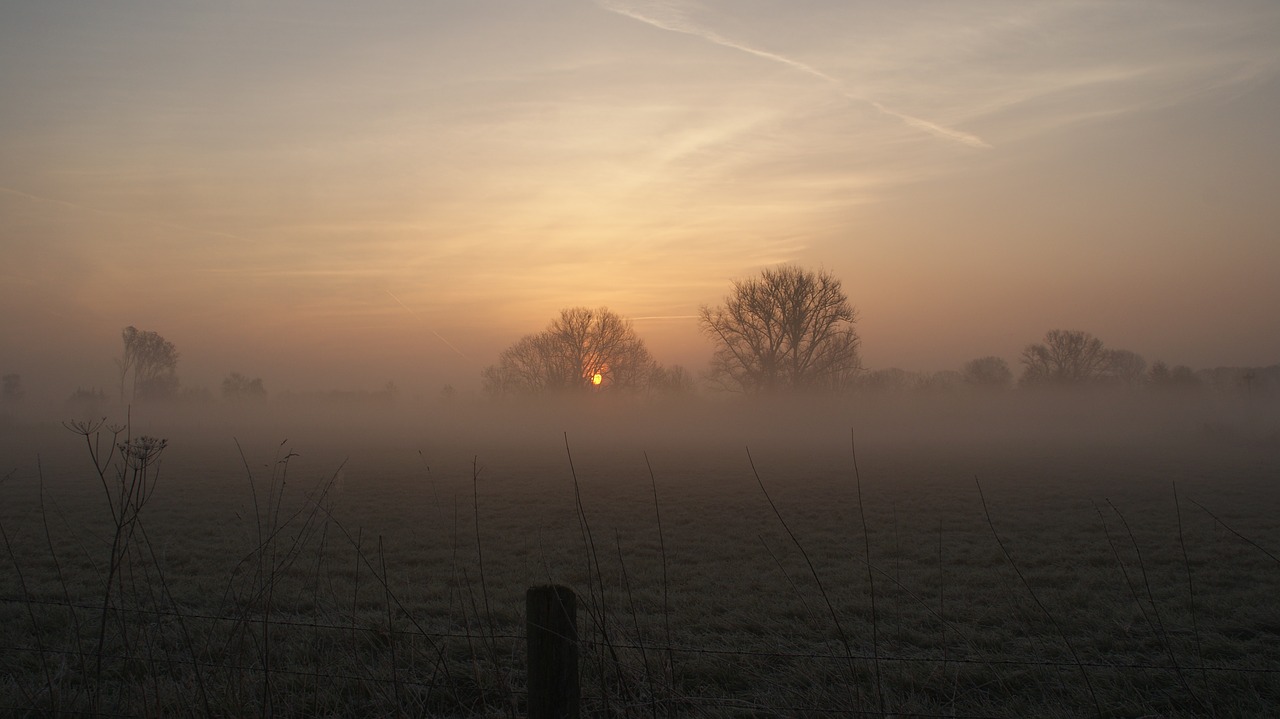 fog  dawn  landscape free photo